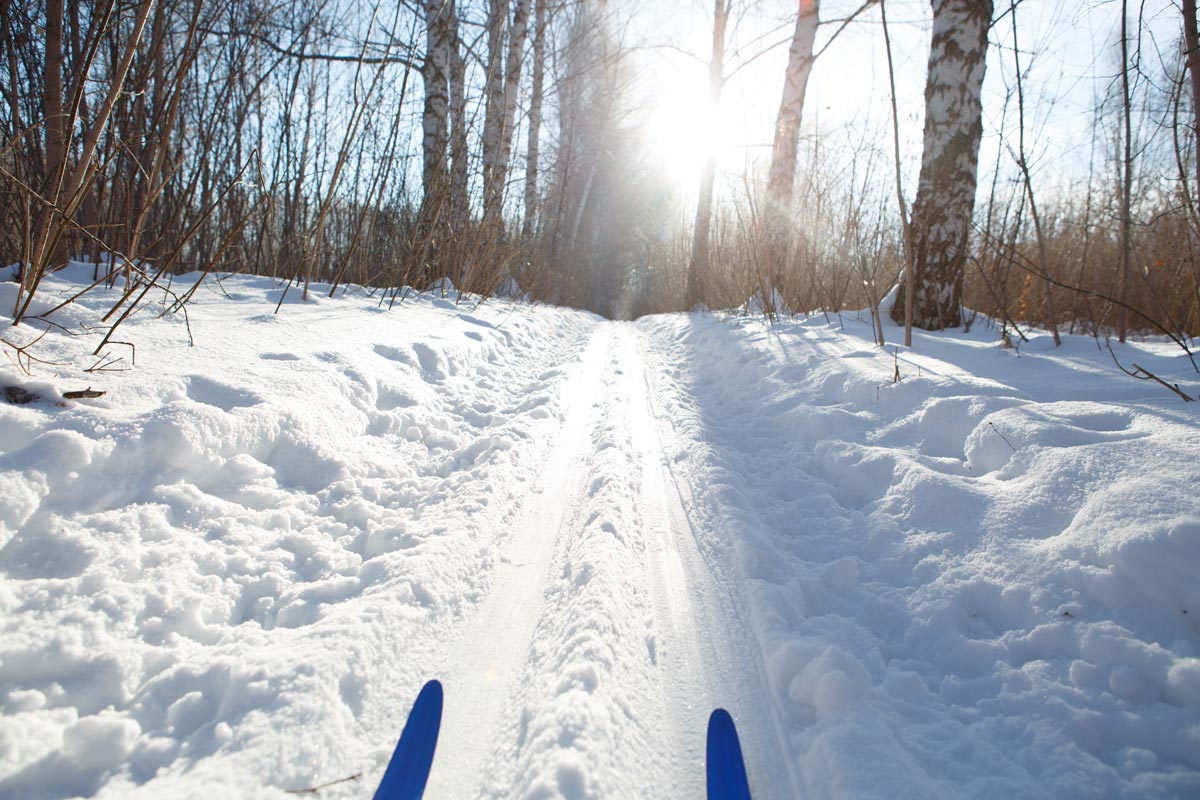 Ottawa Attractions winter Cross Country Skiing