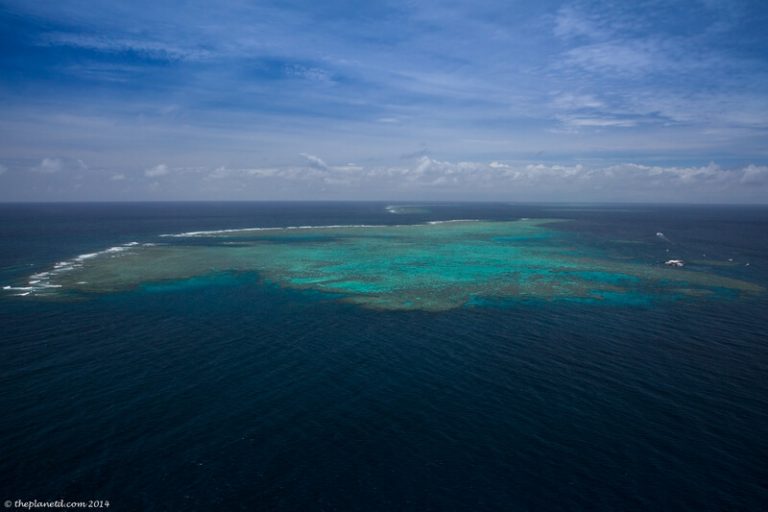 The Great Barrier Reef Adventure | The Planet D