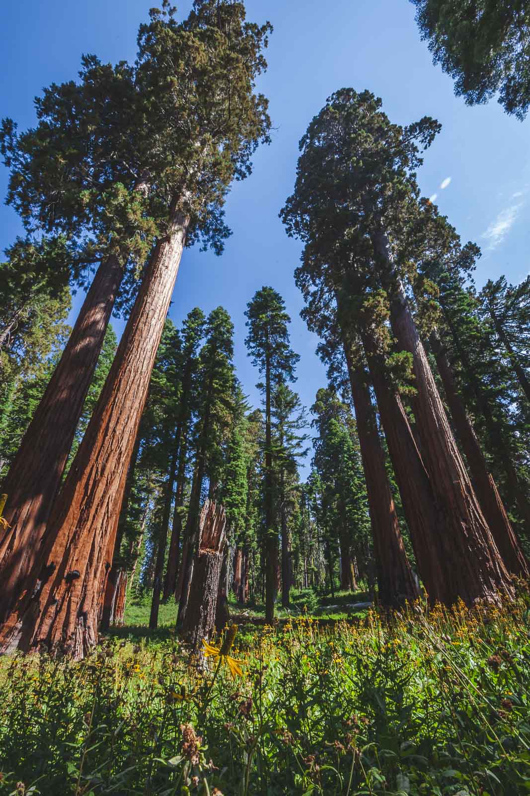 15 Best Hikes in California You have to Do | The Planet D