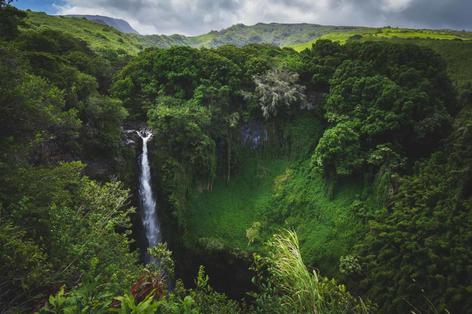 17 Best Hikes in Hawaii You Have To Try in Your Life | The Planet D