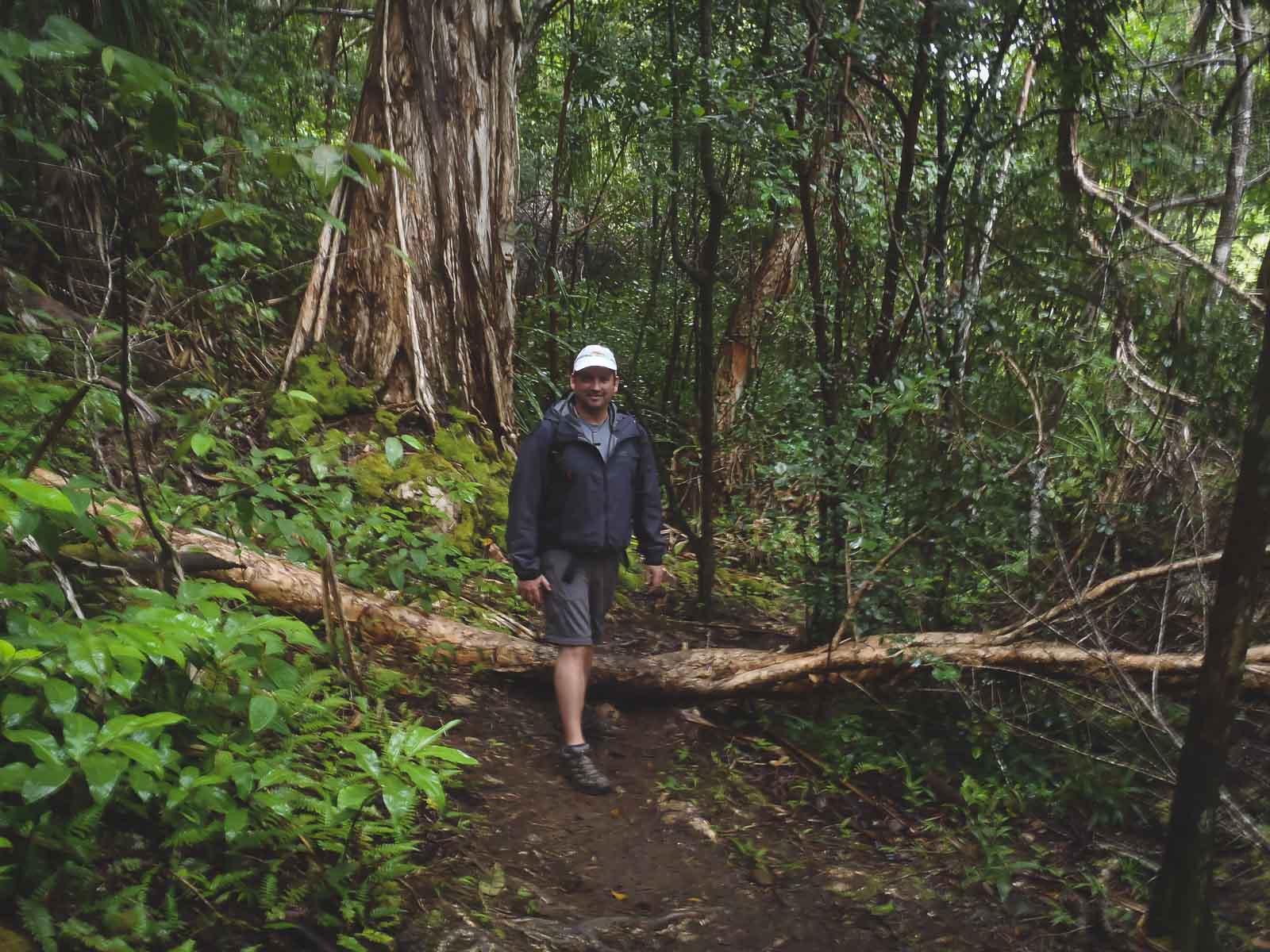 Questions about hikes in Hawaii