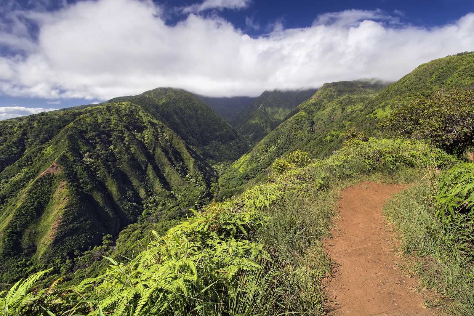Waihee Ridge Trail Hike in  Hawaii