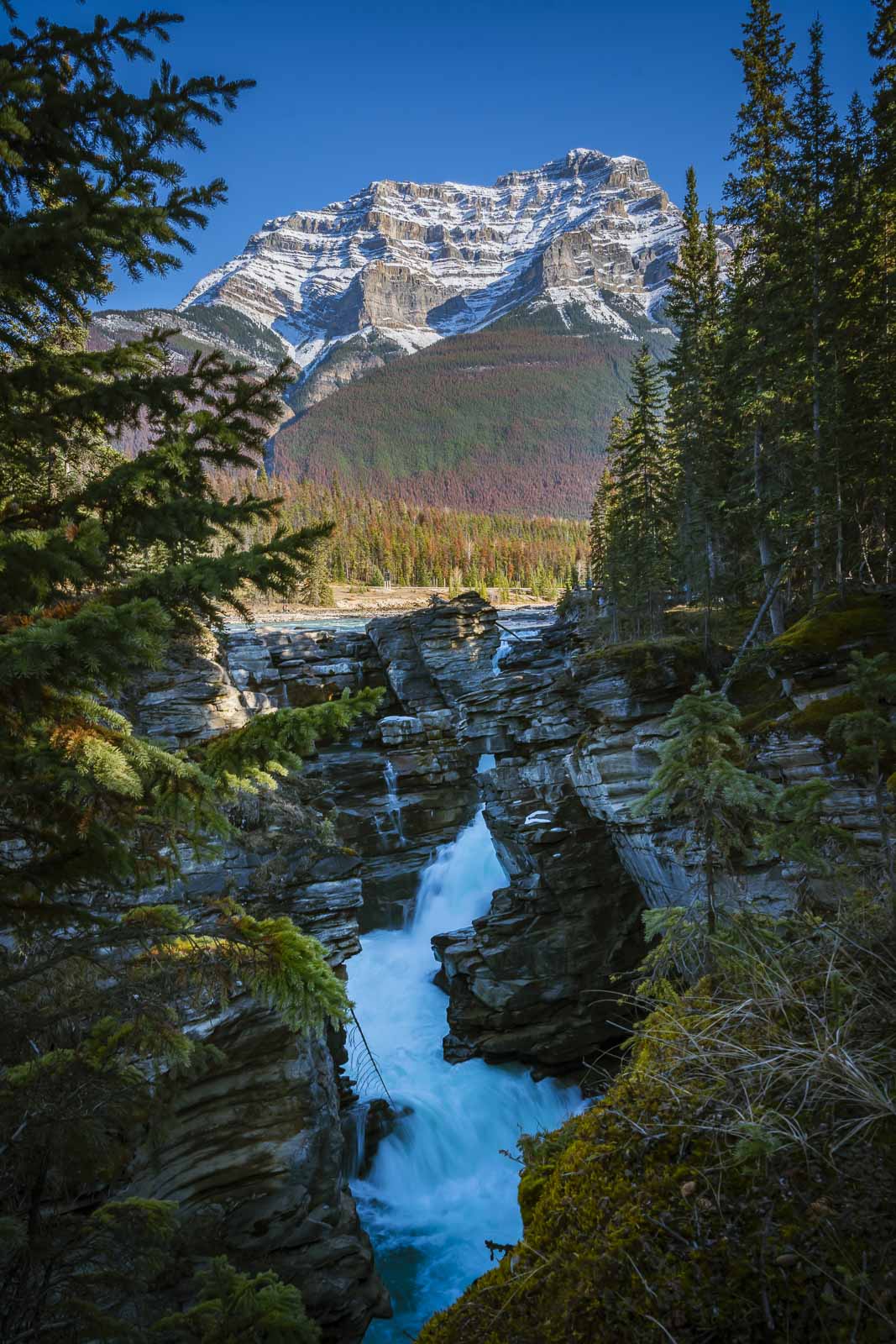 14 Best Hikes in Jasper National Park - Alberta Canada | The Planet D