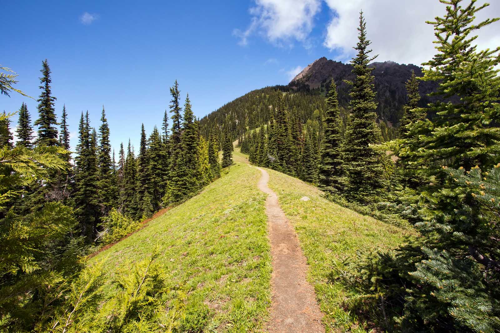 Best Hikes in Olympic National Park Klahhane Ridge Trail