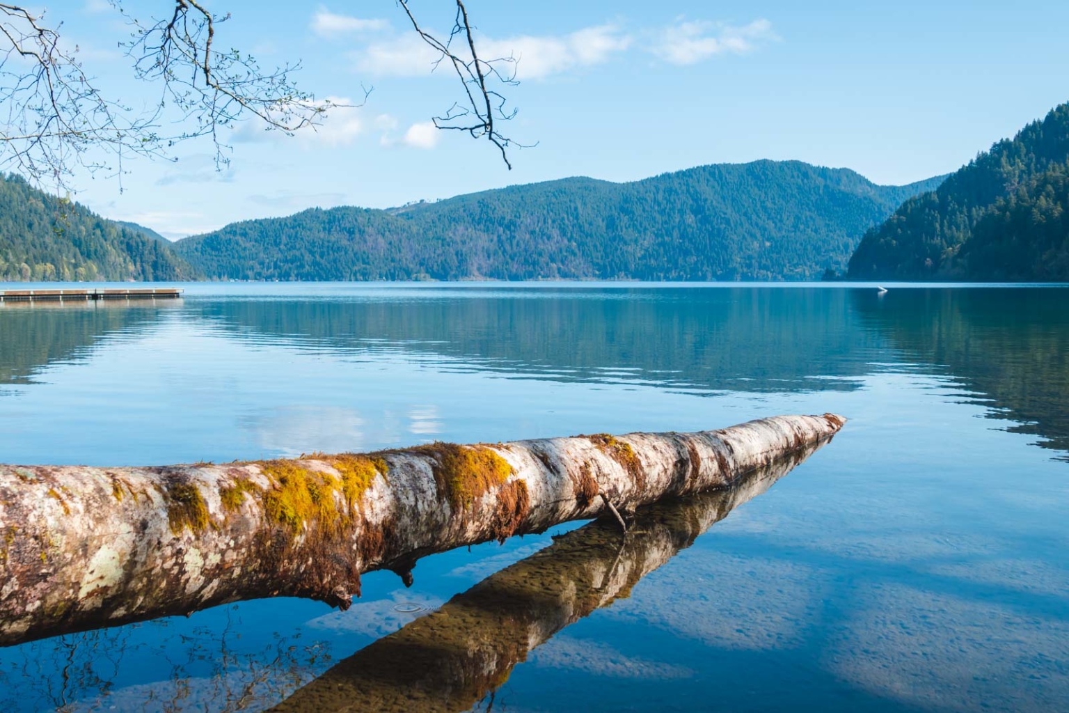 19 Best Hikes in Olympic National Park For 2023 - The Planet D