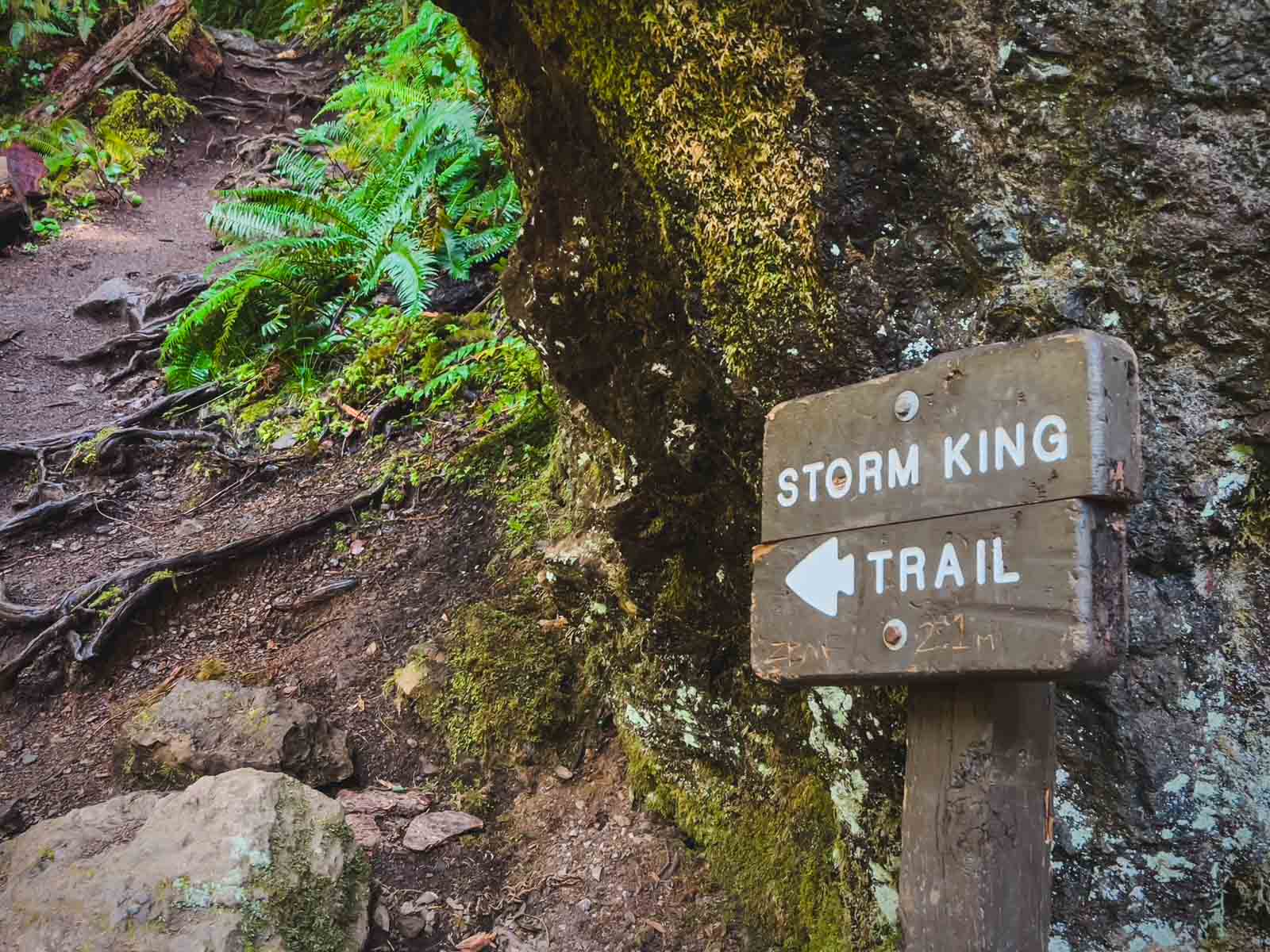 Best Hikes in Olympic National Park Storm King Mountain