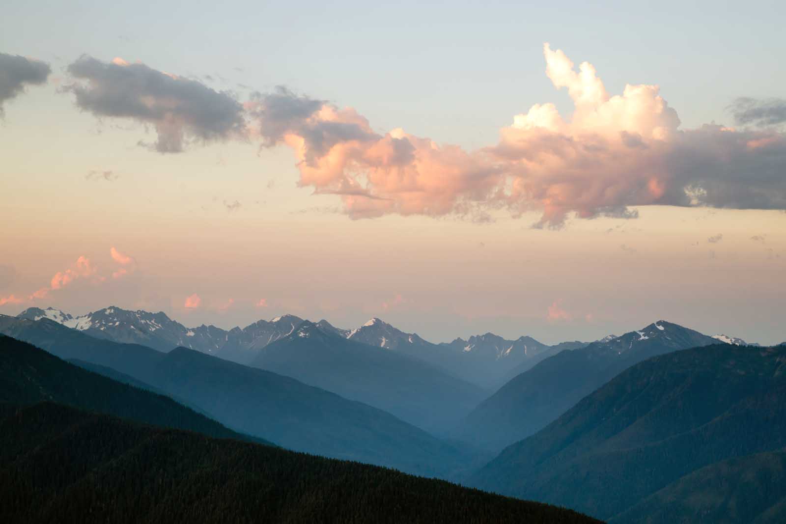 Best Hikes in Olympic National ParkSunrise Ridge Trail