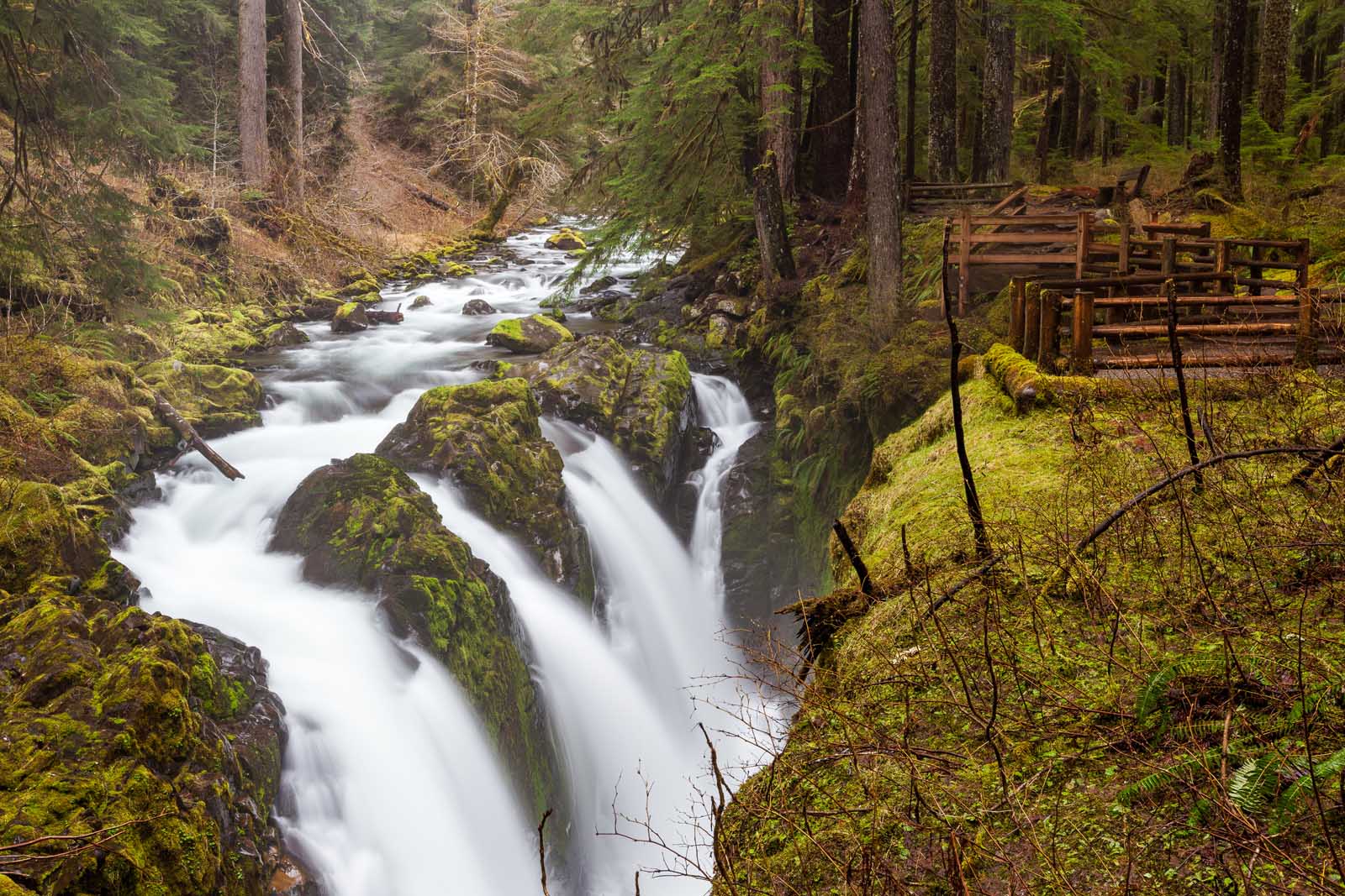 Best Hikes in Olympic National Park Sol Duc Falls
