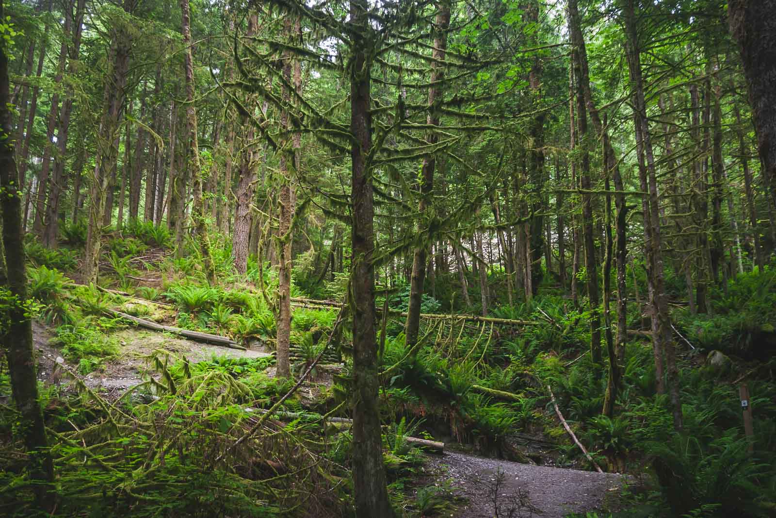 Hikes in Vancouver North Shore