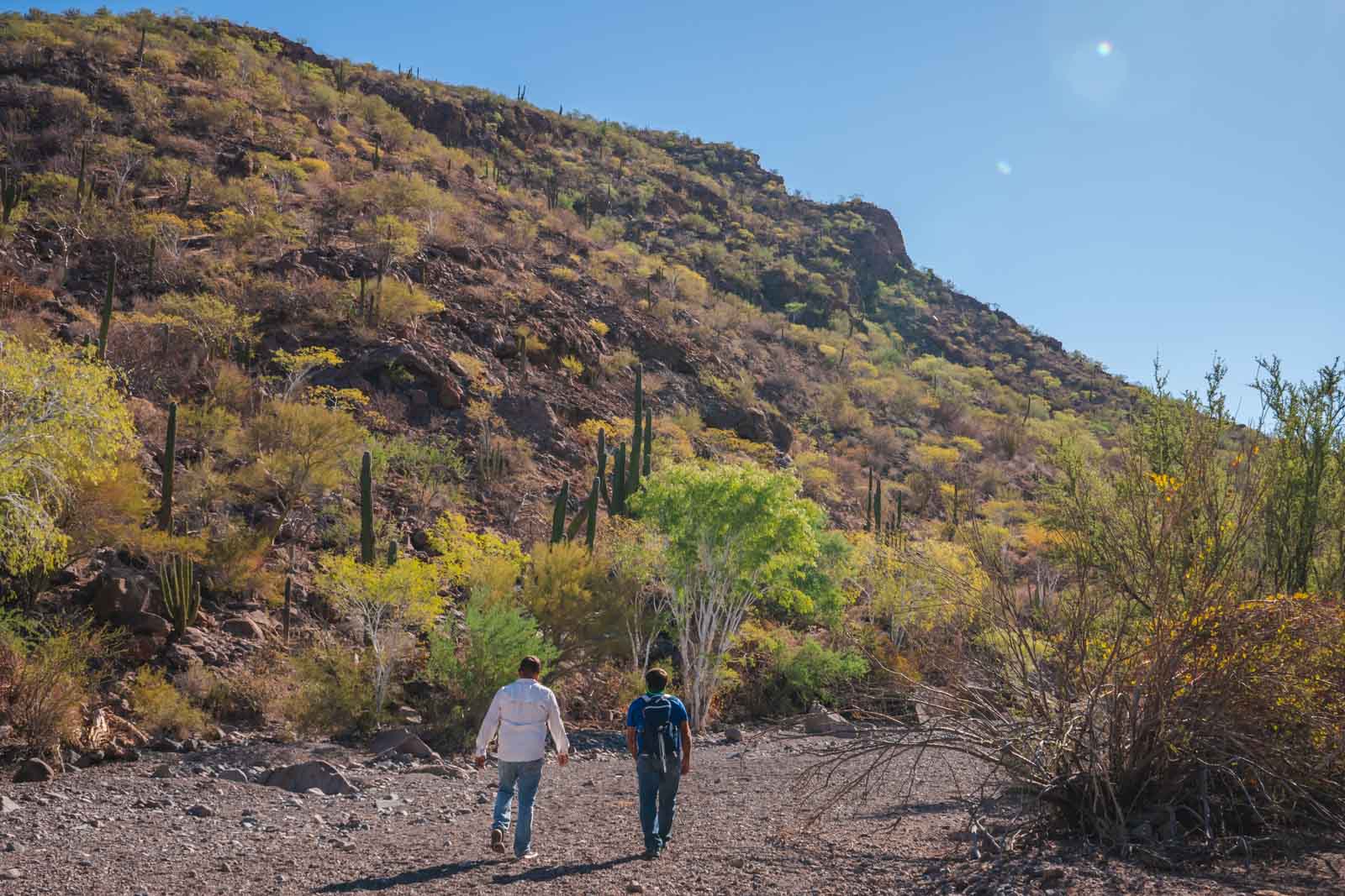 Walking to the Cave Paintings in Loreto