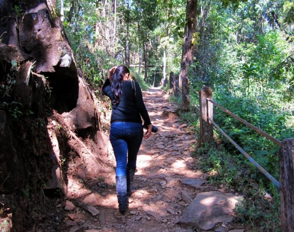 Solo Travel in India – Tips from a Local