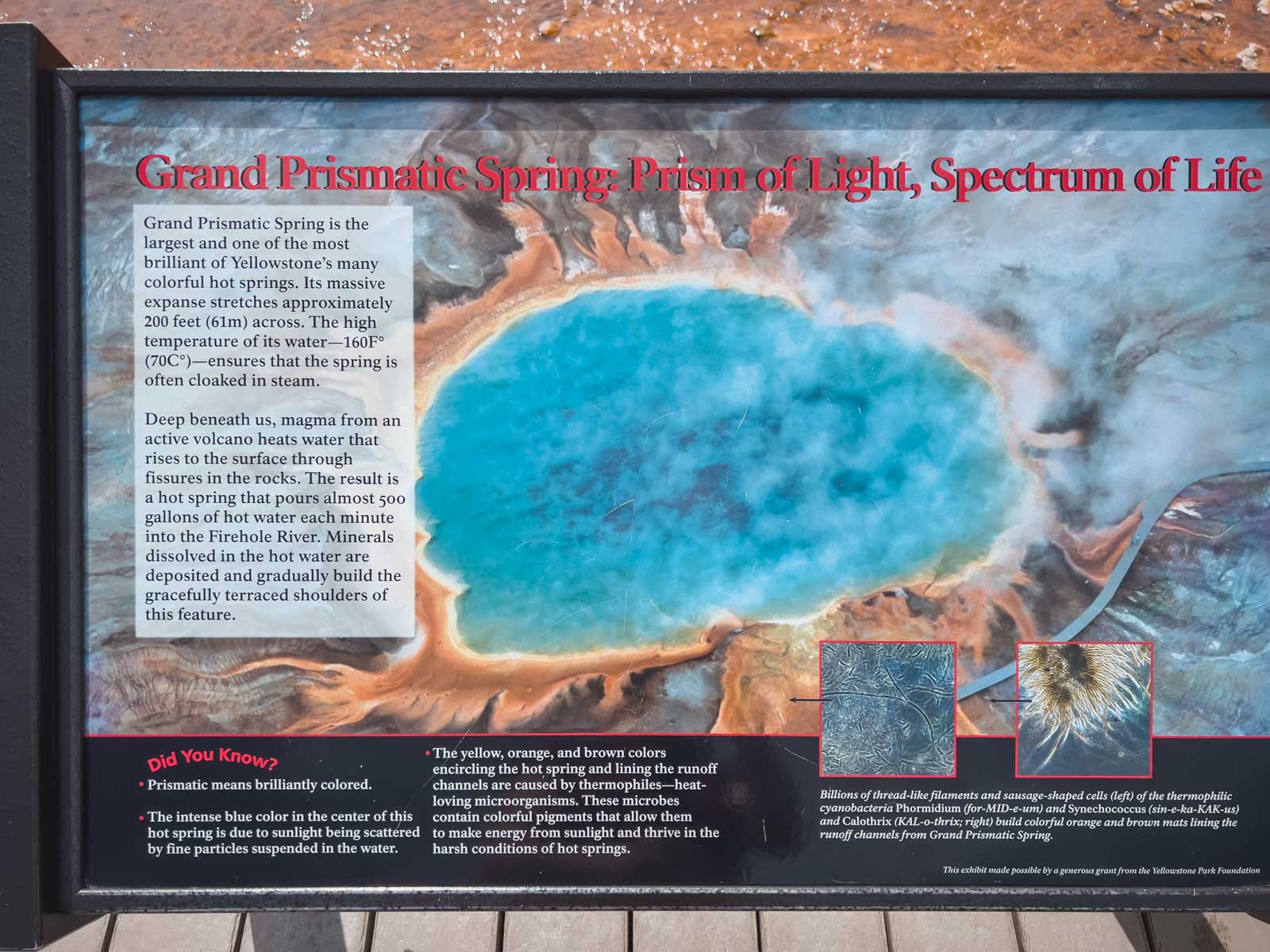 How to visit Grand Prismatic Spring Cause of Colour