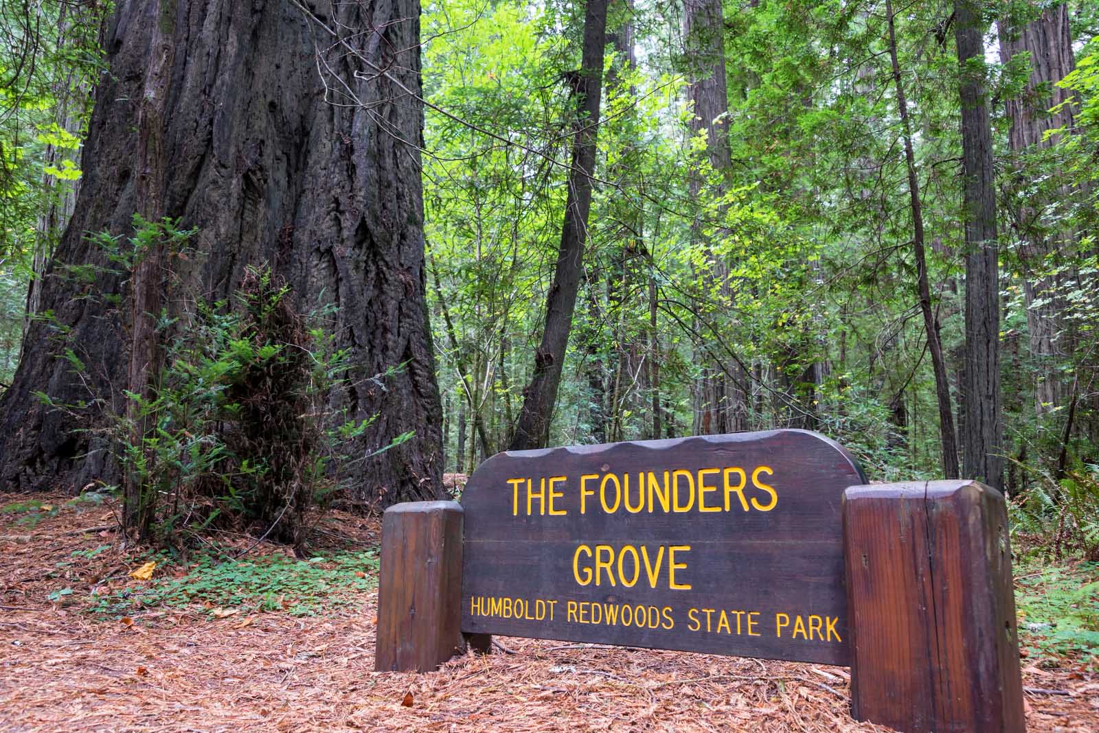 Humboldt Redwoods State Park
