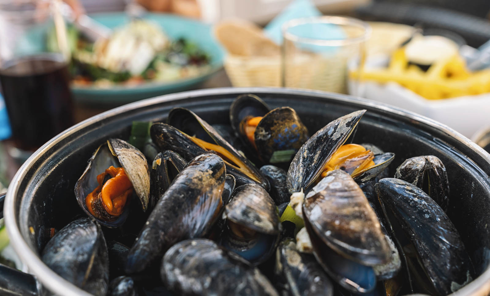 Steaming pot of Icelandic mussels in Stykkishólmur