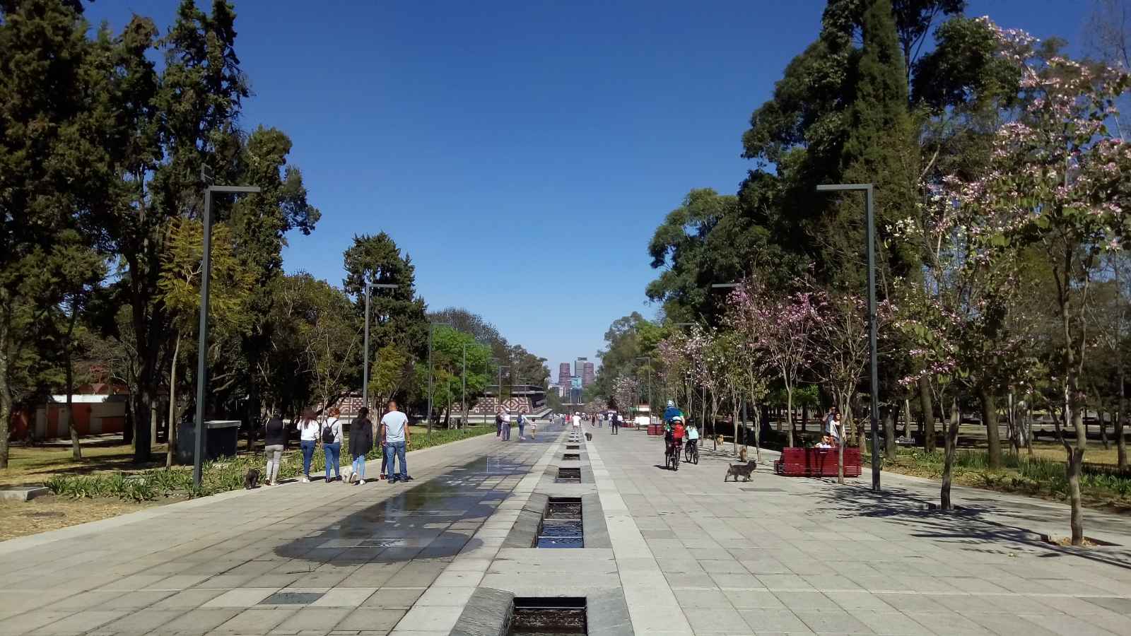 Is Mexico City Safe to Visit Solo Travelers Chapultepac