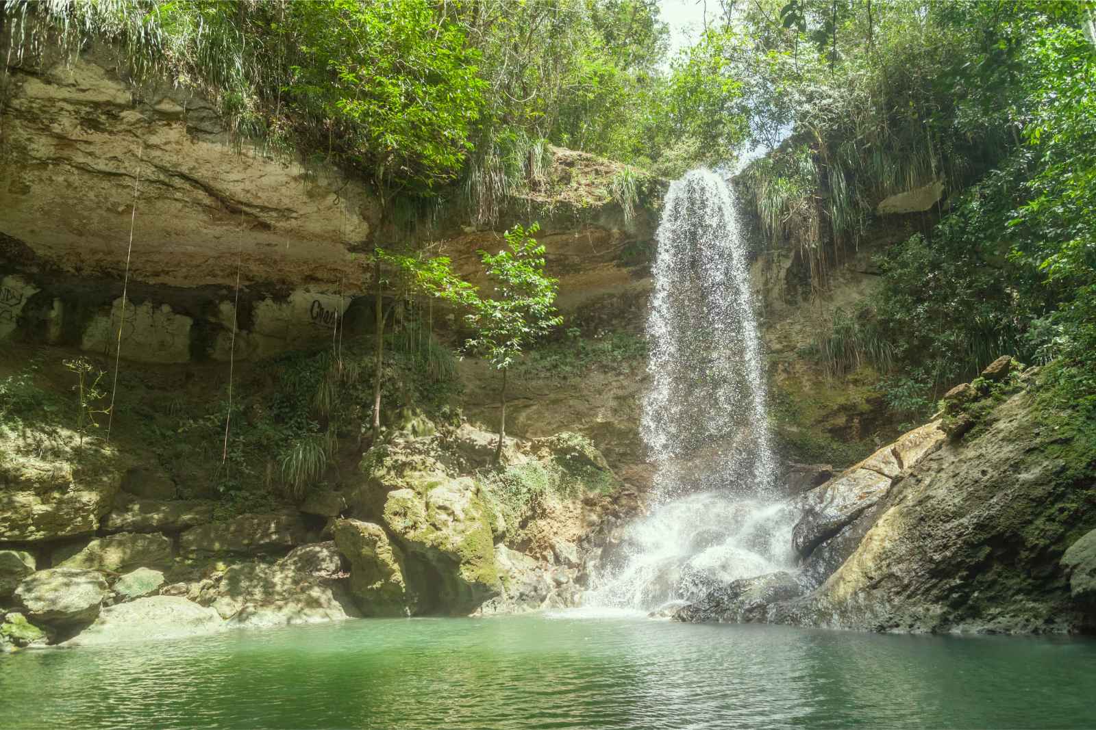 Is Puerto Rico Safe to Visit Natural Wonder Rainforest