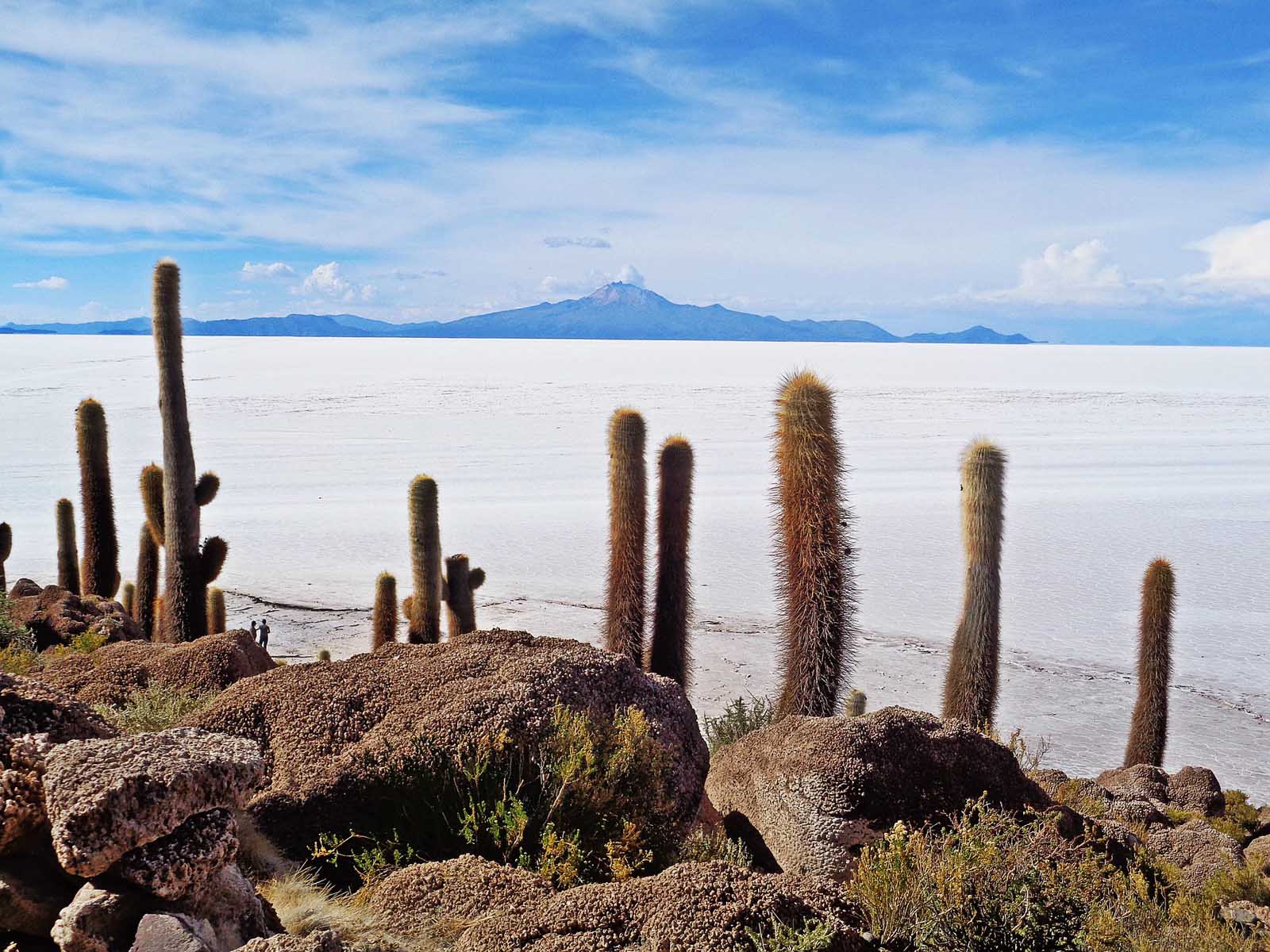 Isla del Pescado Bolivia