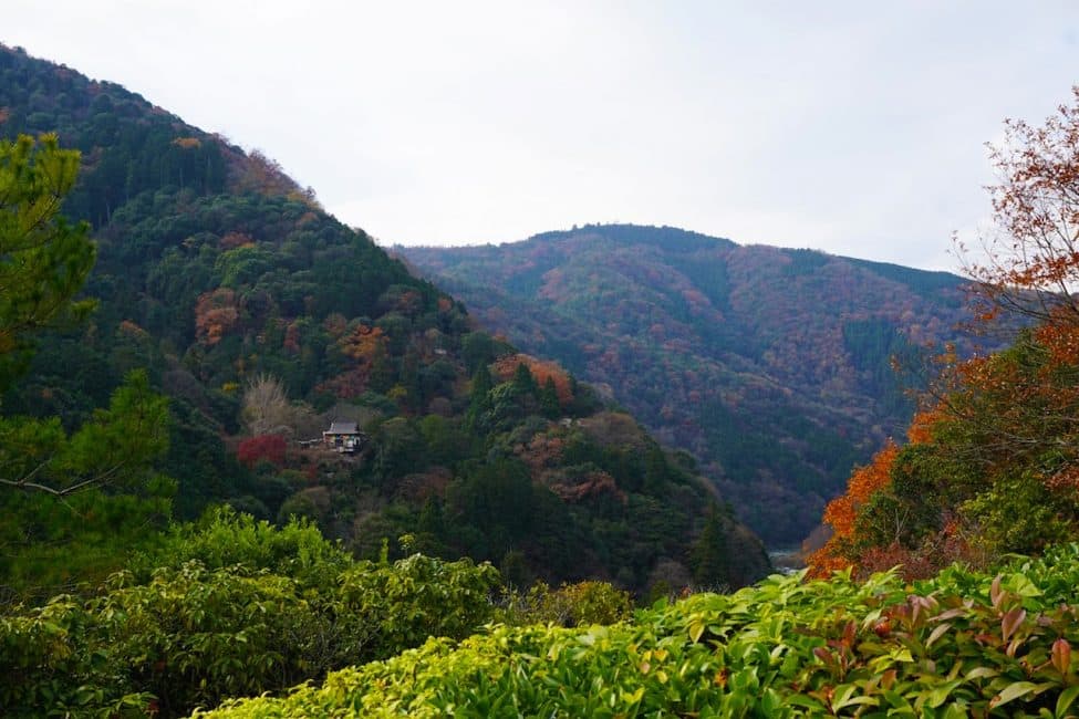 Top Things Kyoto  Japan The Planet