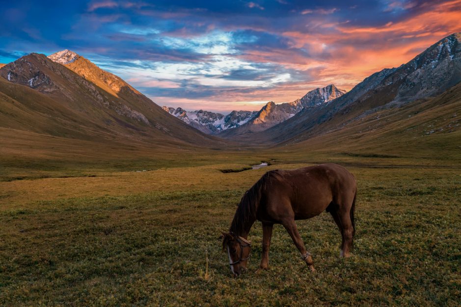 horse trekking kyrgyzstan