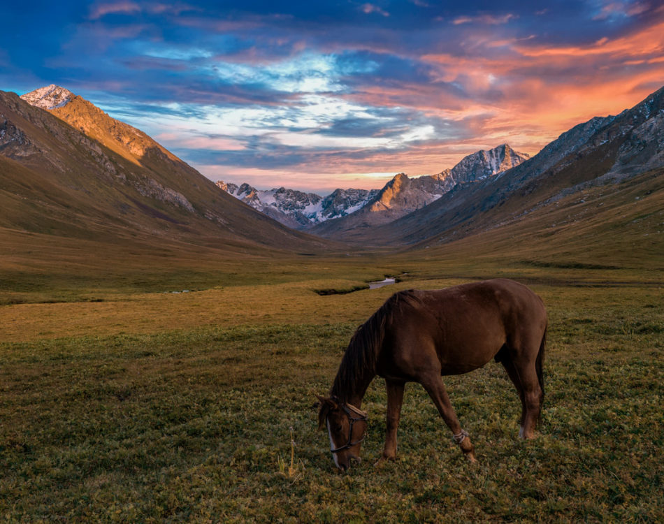 Kyrgyzstan Trekking by Horse – Into Jyrgalan and the Boz Uchuk Lakes