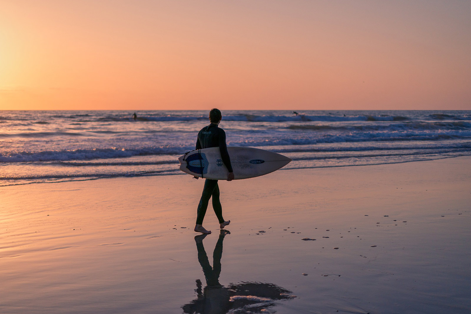 best beaches in california la jolla shores Beach