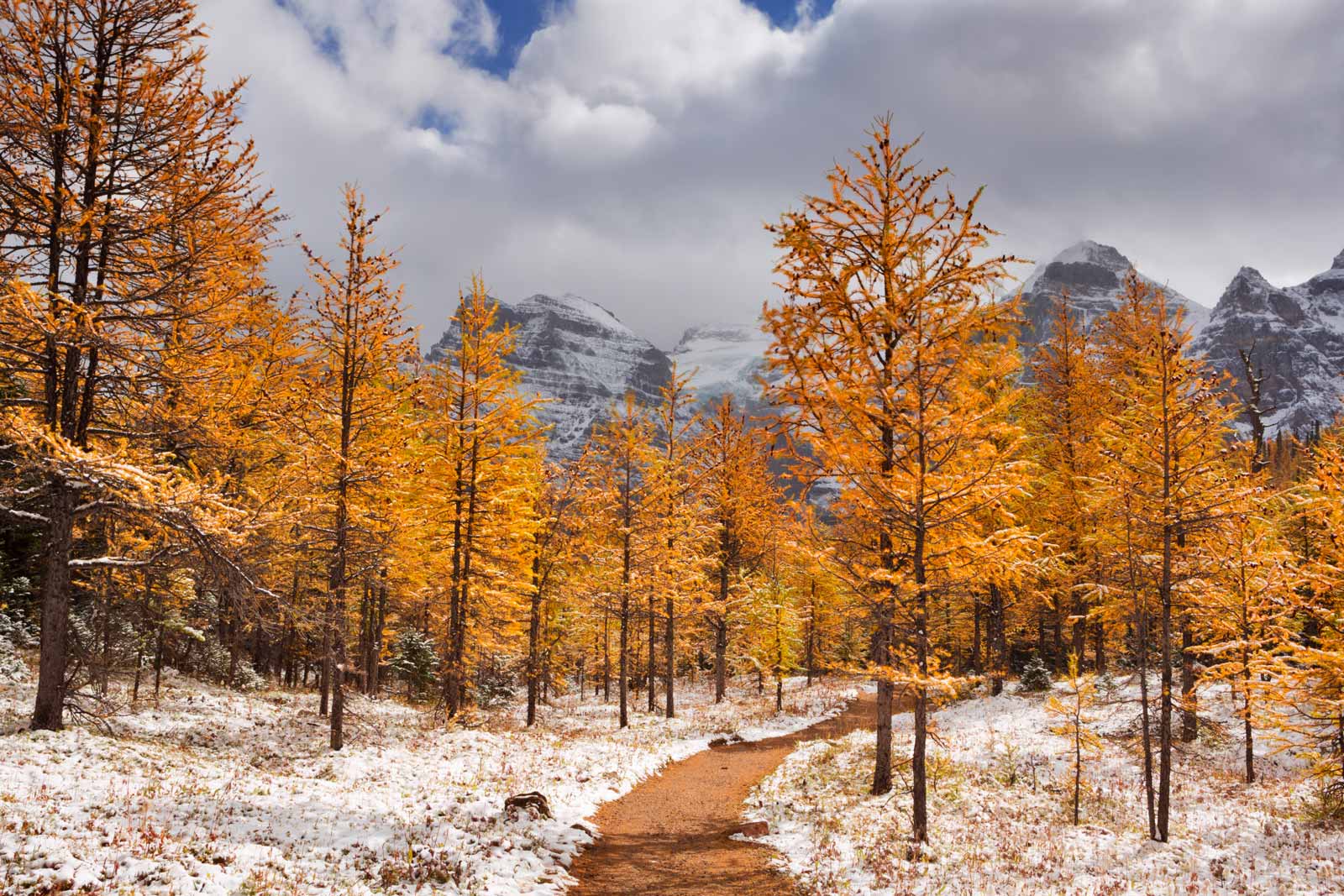 best banff hikes - Larch Trail in Banff National Park