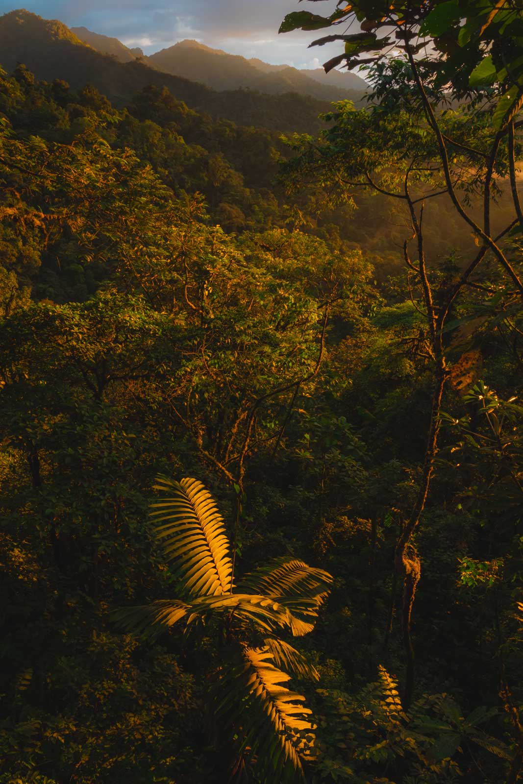 Mashpi Lodge Ecuador Location