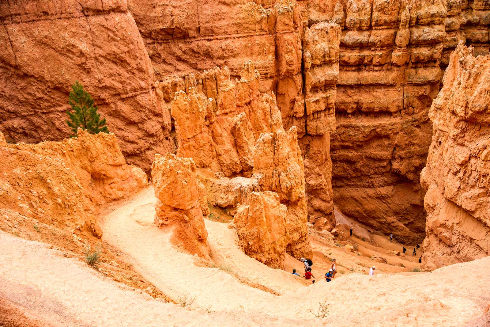 Navajo Loop Trail hiking in Bruce Canyon