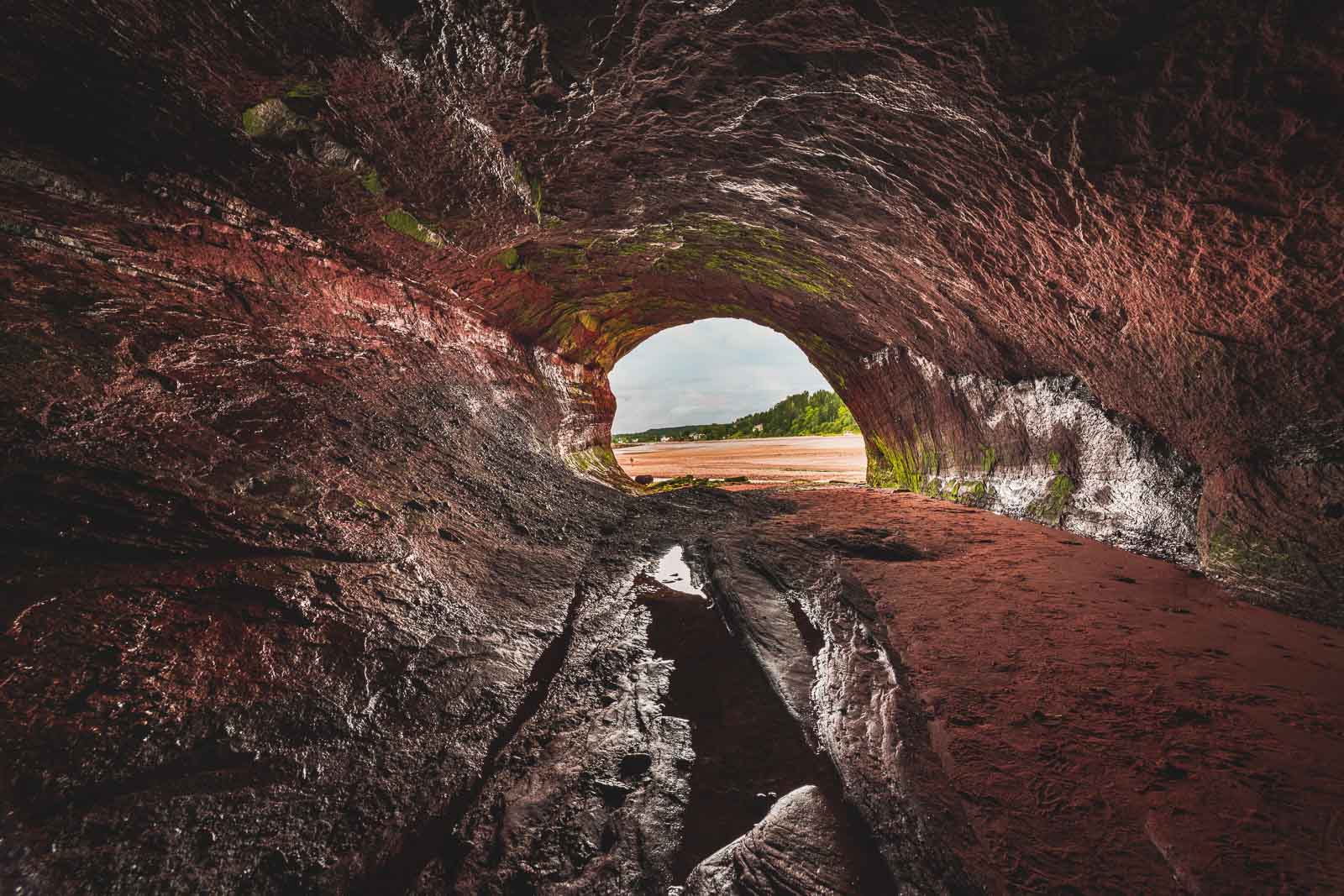 inside st. martins sea cave looking out at bay of fundy at low tide