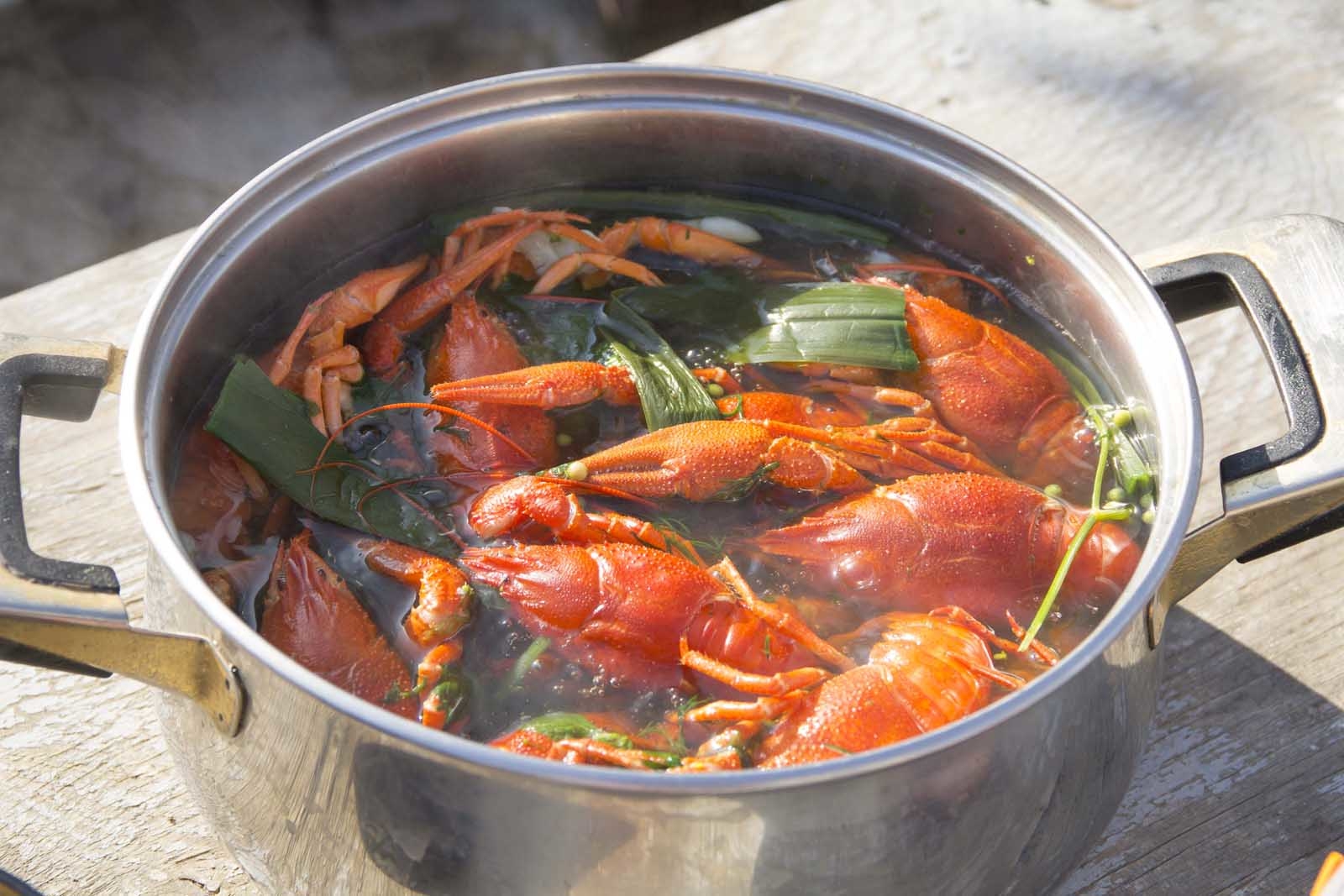 New Orleans Food Boiled Crawfish