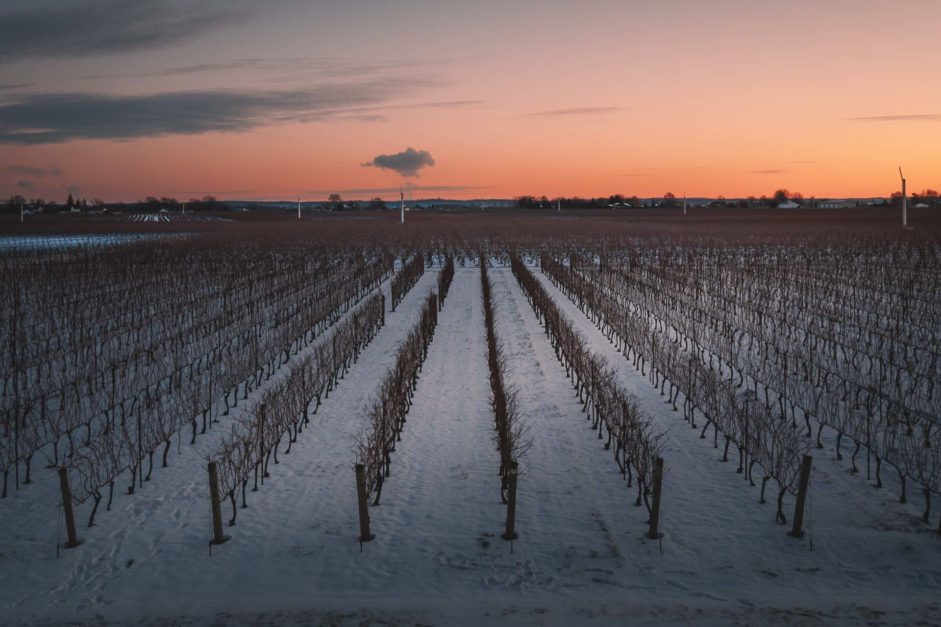 things to do in niagara on the lake winery at sunset