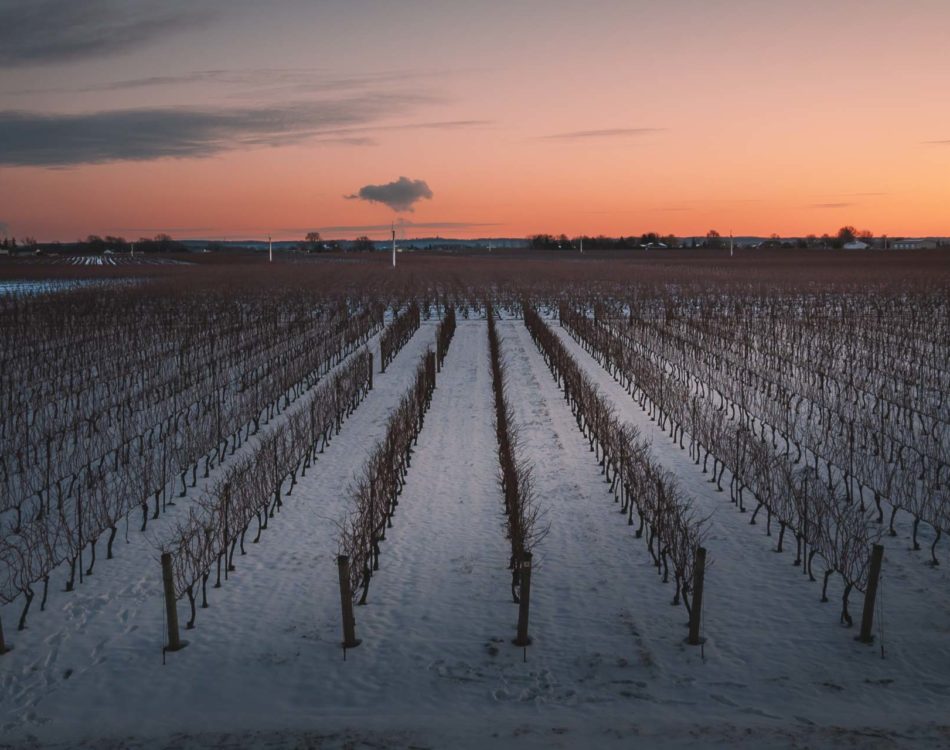 15 Amazing Things to do in Niagara on the Lake – Canada