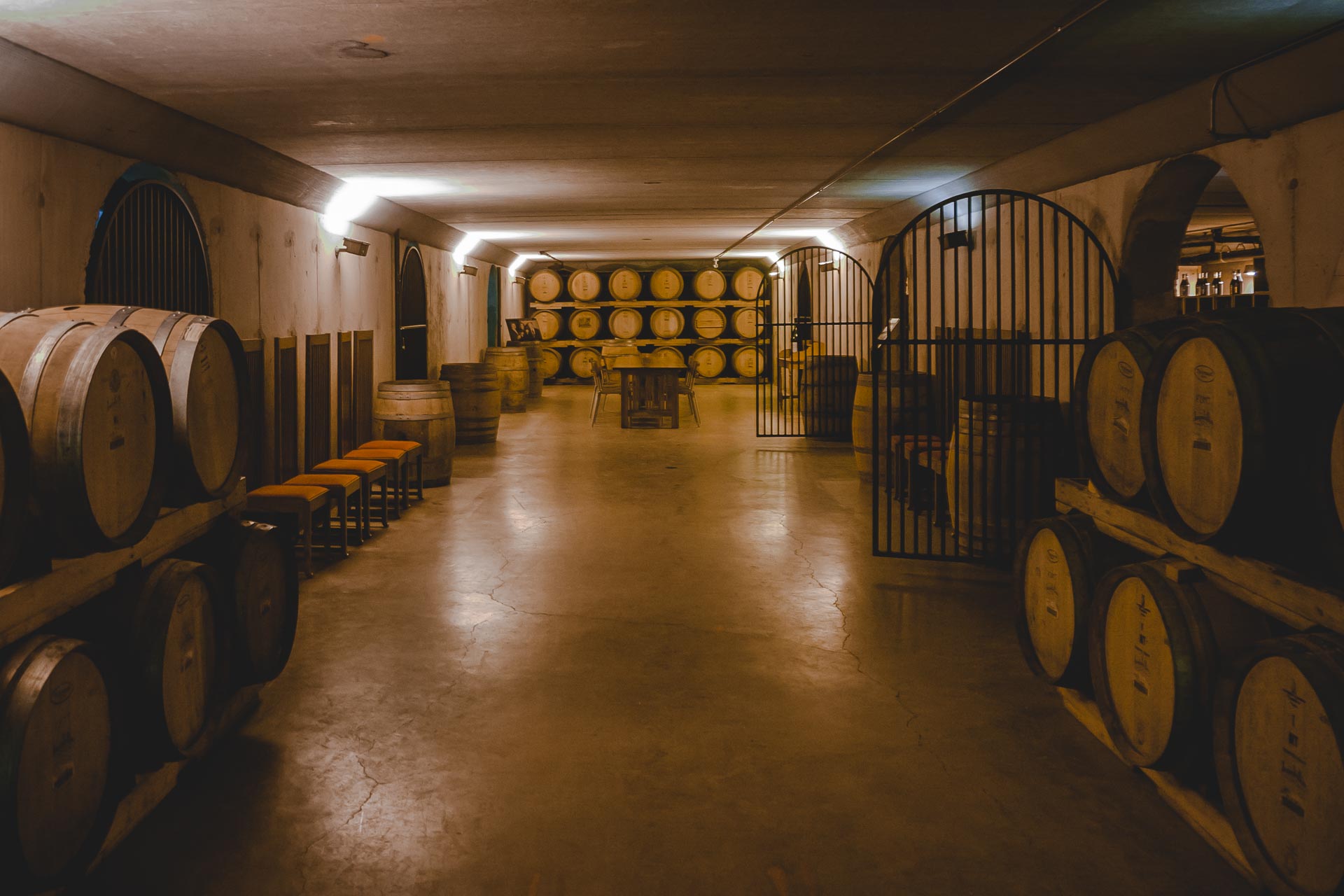 things to do in niagara on the lake wine tour barrels in vineyard wine cellar
