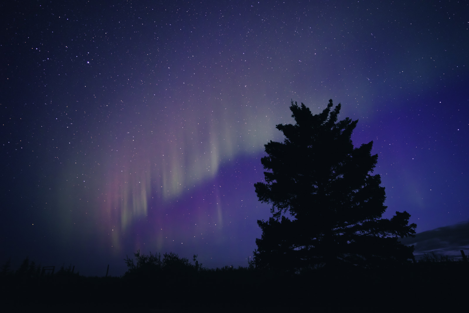 Northern Lights Canada Aurora Oval