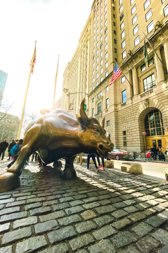 One Day in New York City Charging Bull
