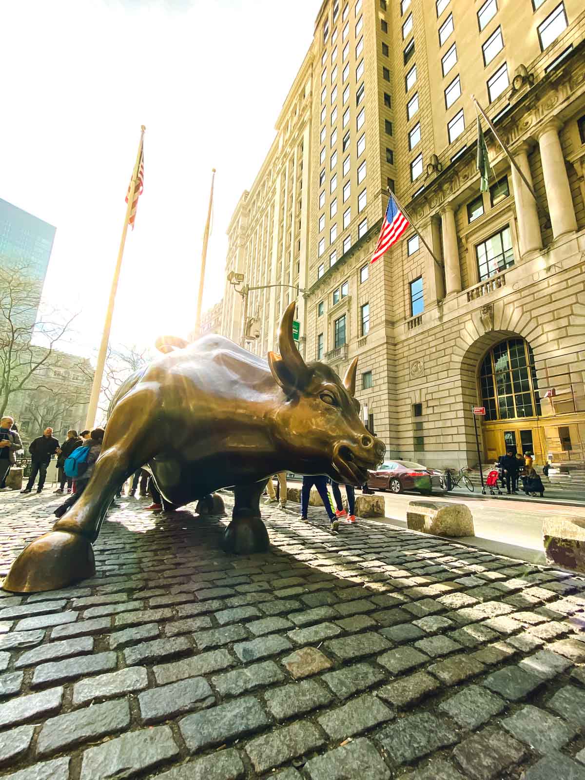 One Day in New York City Charging Bull