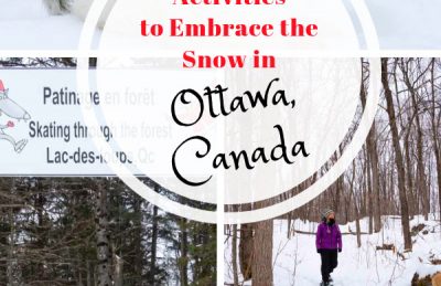 Ottawa Attractions Winter Pin