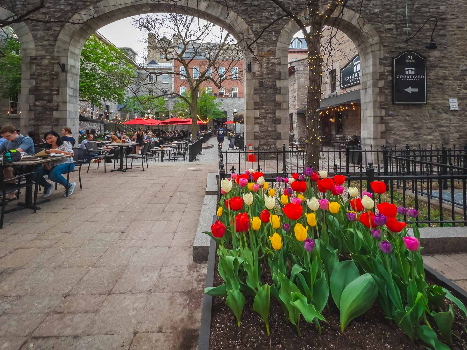 Ottawa Tulip Festival Byward Market