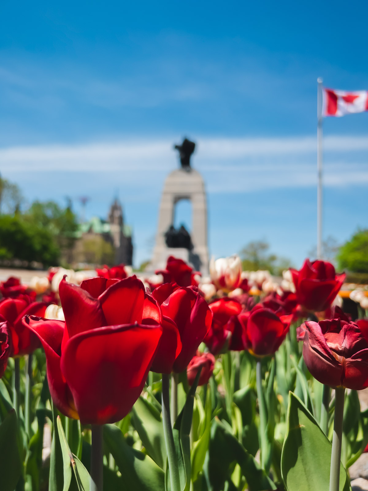 Ottawa Tulip Festival National War Memorial