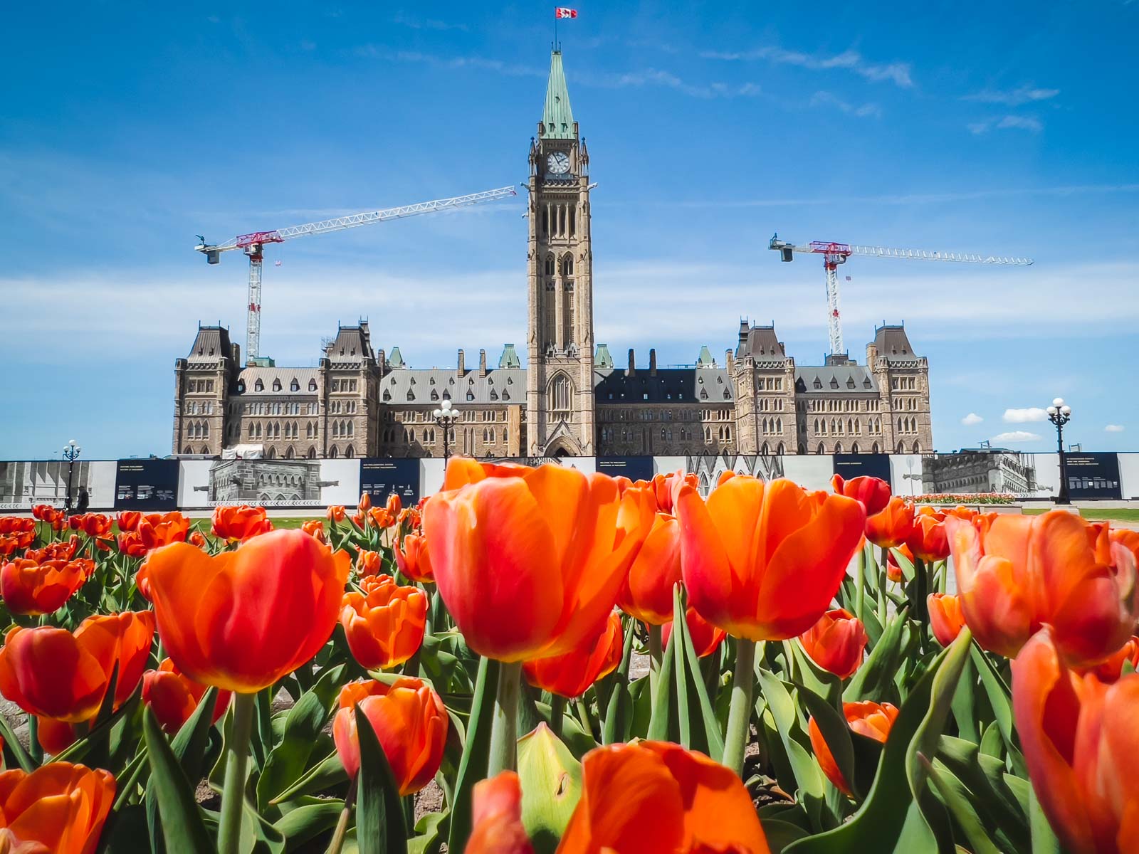 Ottawa Tulip Festival Parliament Buildings