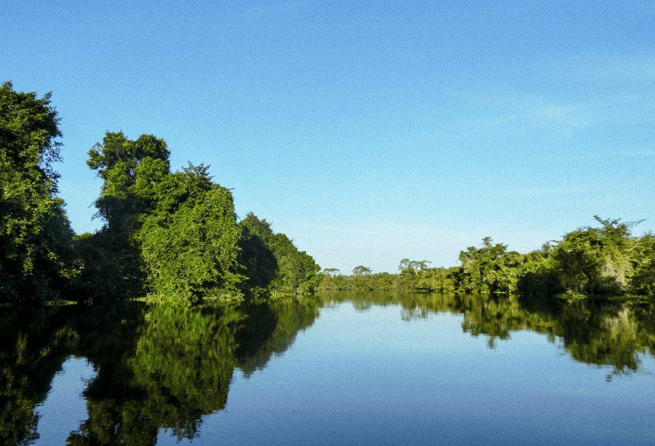 Paddling through the Pantanal in Brazil