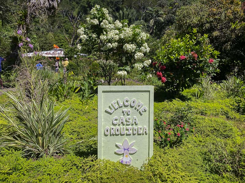 Gardens in costa Rica on our Uncruise