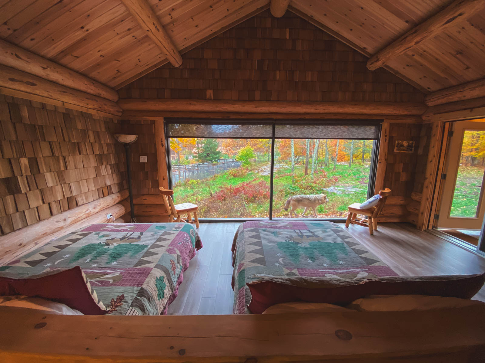Parc Omega Wolf Cabins Interior