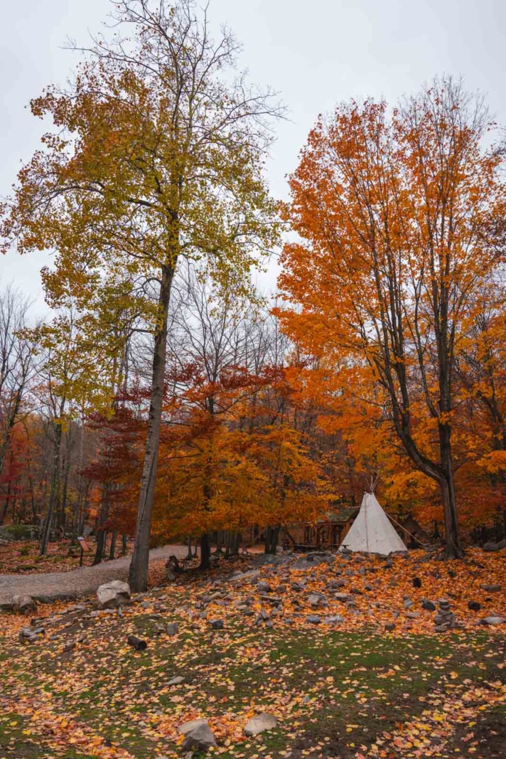 Parc omega tent accommodation