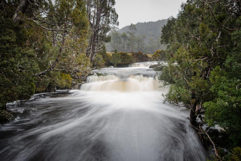 pencil pine creek at table mountain