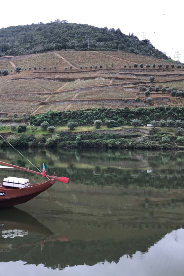 pinhao douro river cruise through vineyard