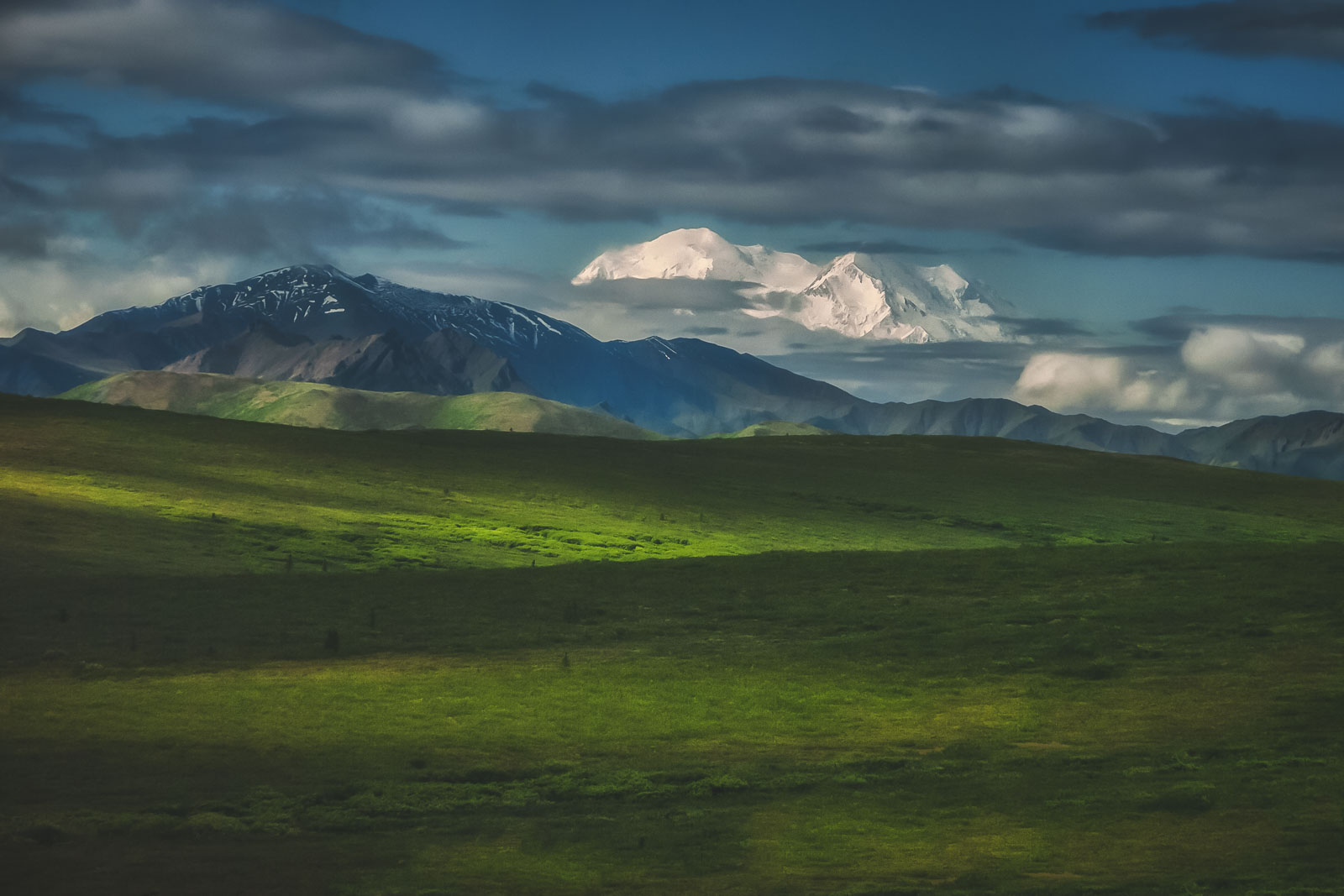 Denali National Park in Alaska
