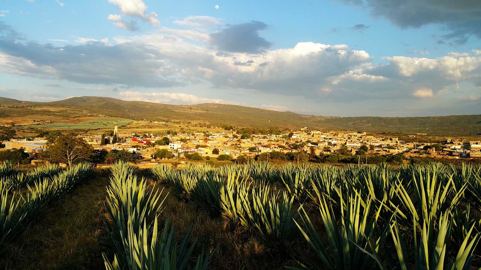 visiting Tequila town in Mexico