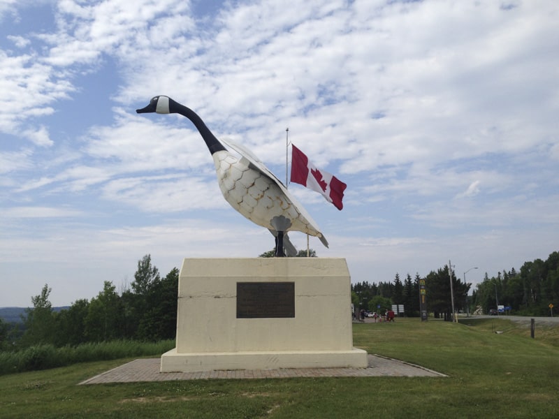 The Wawa Goose in Ontario