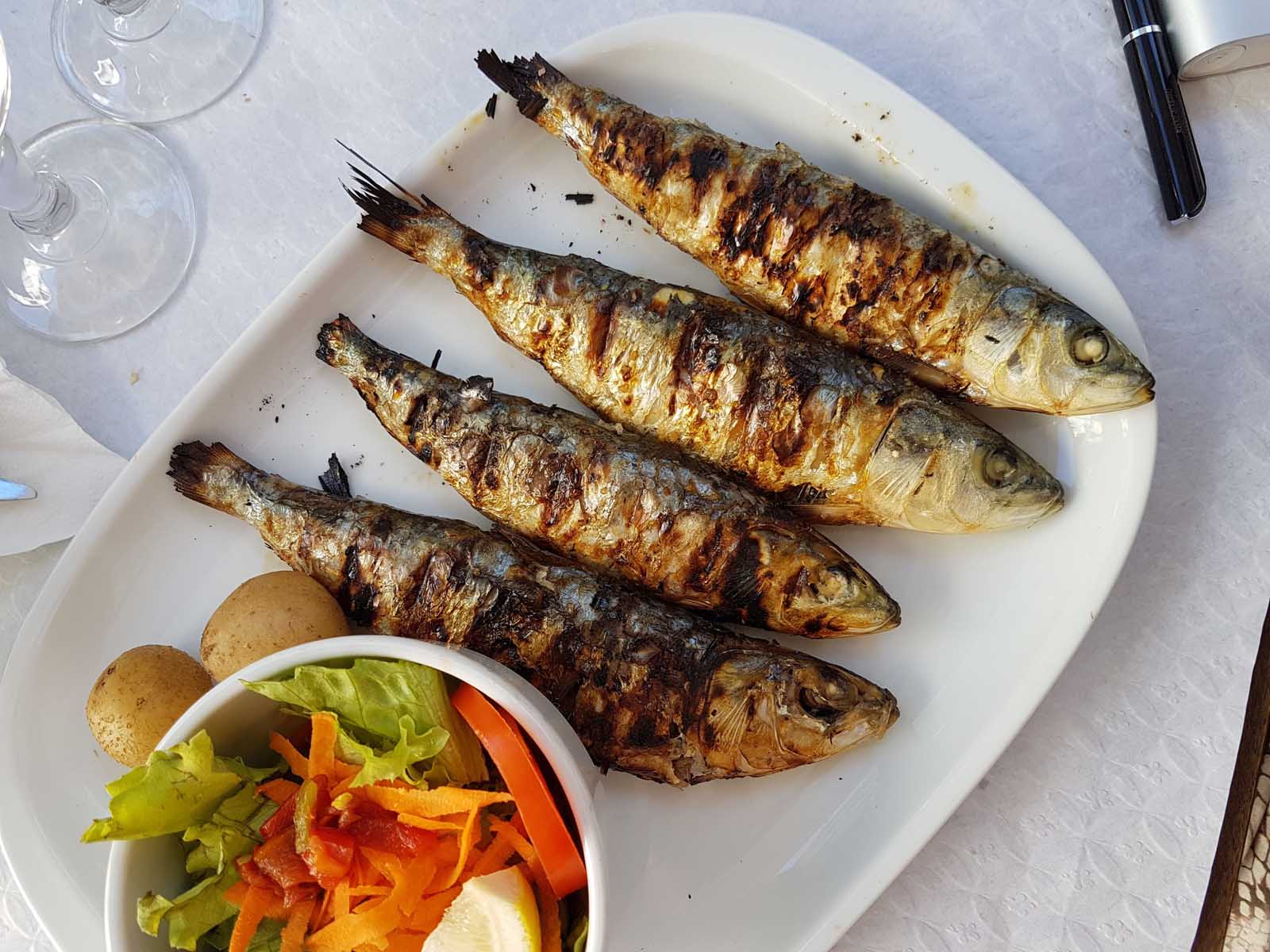 Portuguese Food Sardines